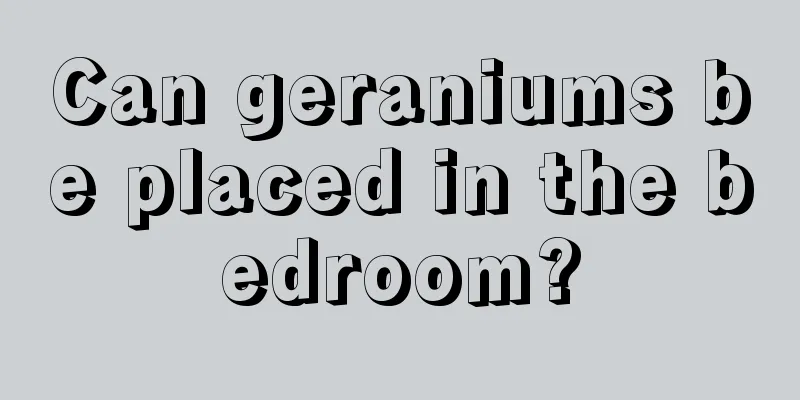 Can geraniums be placed in the bedroom?