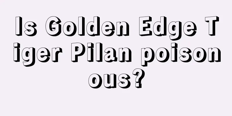 Is Golden Edge Tiger Pilan poisonous?