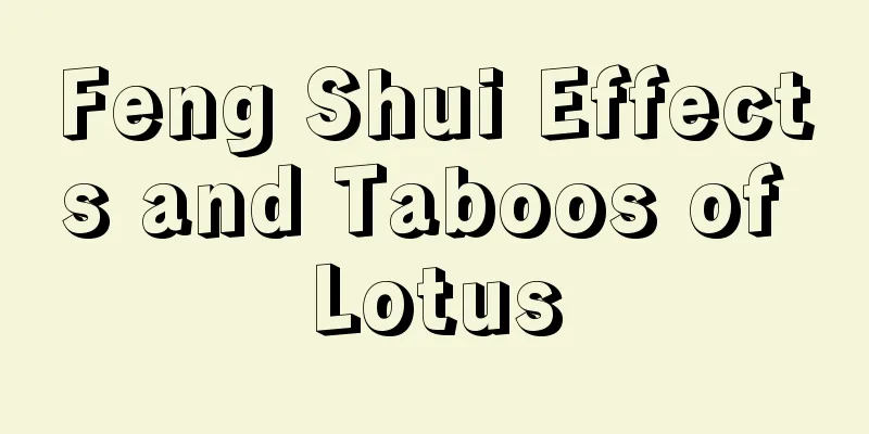 Feng Shui Effects and Taboos of Lotus