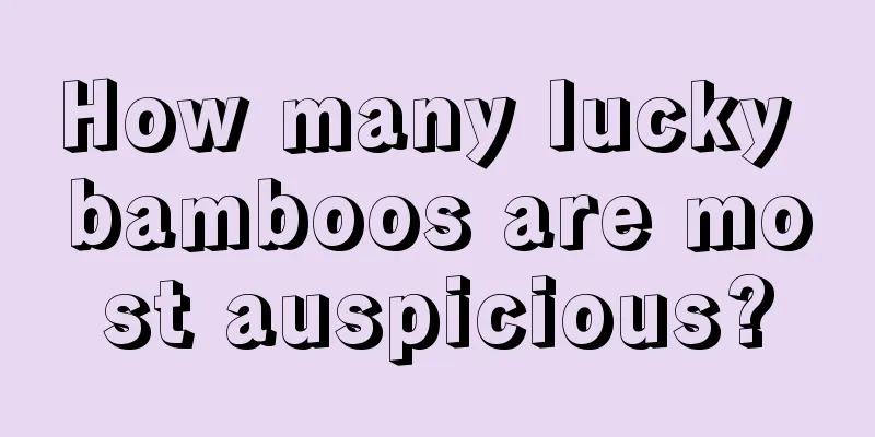 How many lucky bamboos are most auspicious?