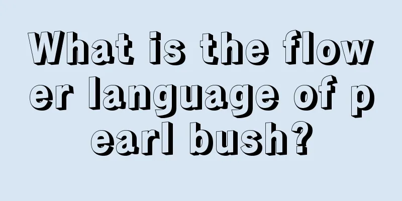 What is the flower language of pearl bush?