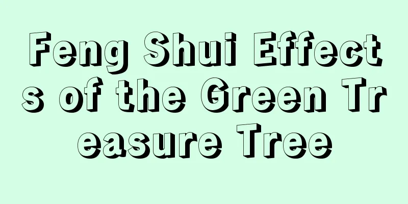 Feng Shui Effects of the Green Treasure Tree