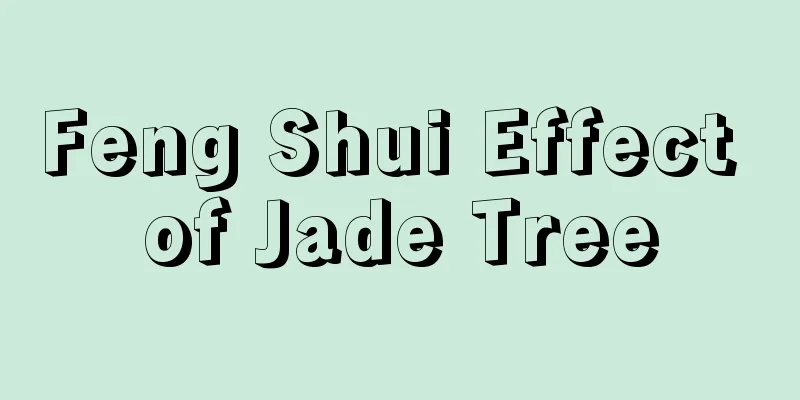 Feng Shui Effect of Jade Tree