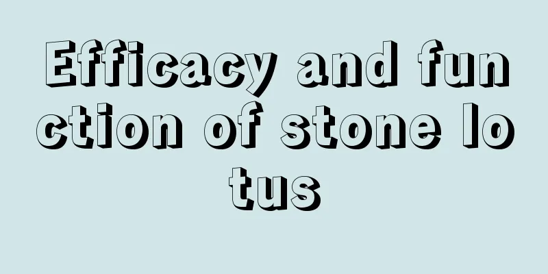 Efficacy and function of stone lotus