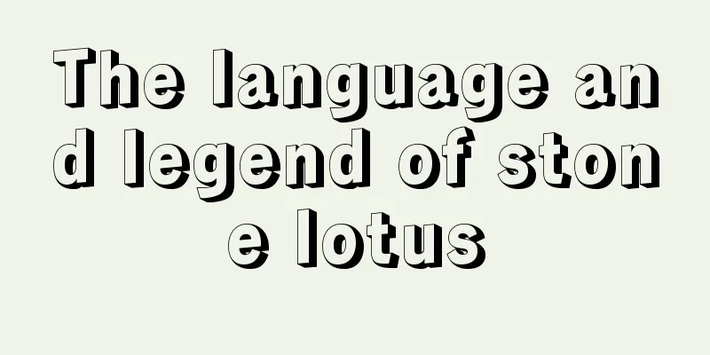 The language and legend of stone lotus