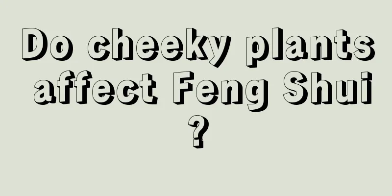 Do cheeky plants affect Feng Shui?