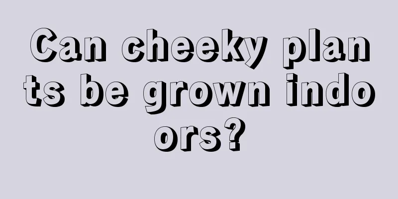 Can cheeky plants be grown indoors?
