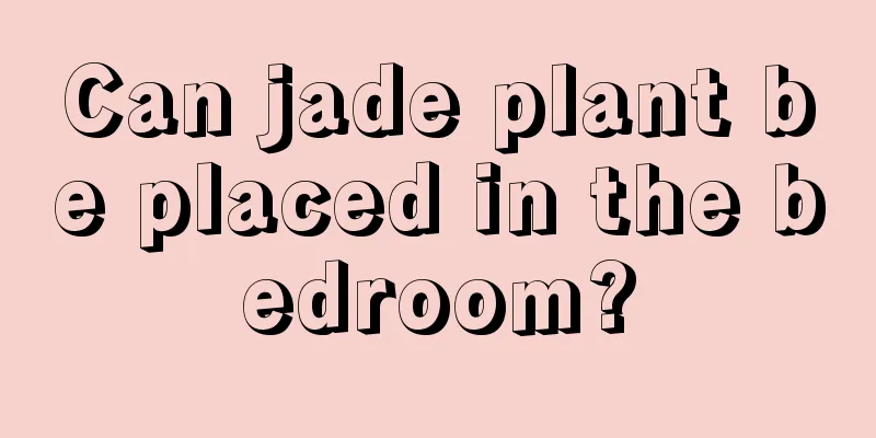 Can jade plant be placed in the bedroom?