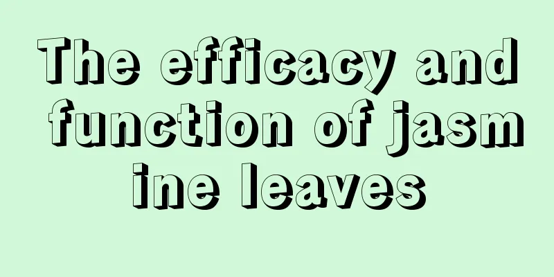 The efficacy and function of jasmine leaves