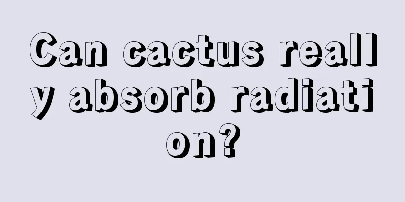 Can cactus really absorb radiation?