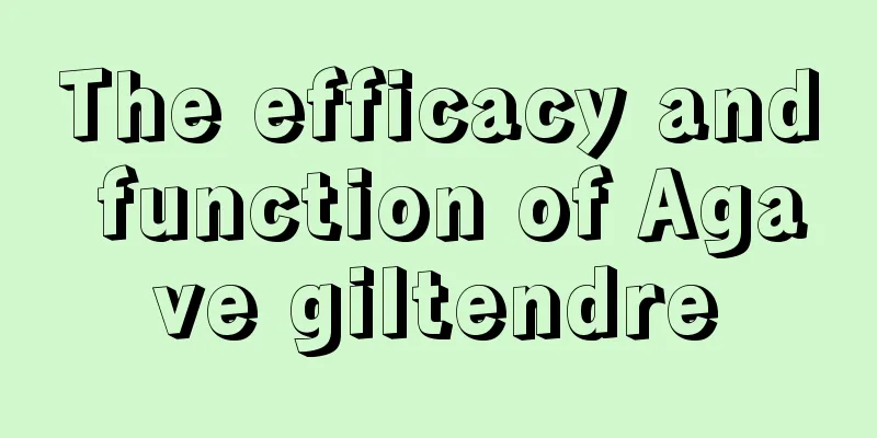 The efficacy and function of Agave giltendre