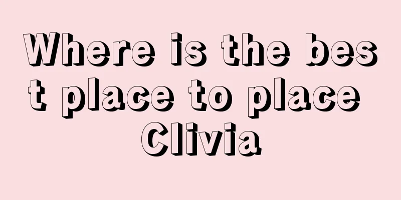 Where is the best place to place Clivia