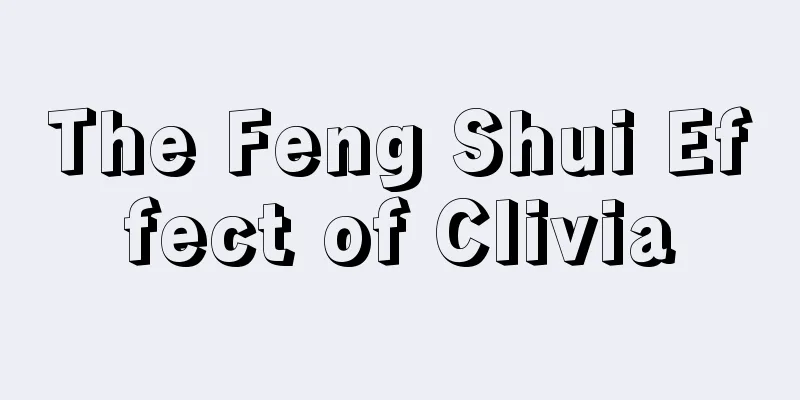 The Feng Shui Effect of Clivia