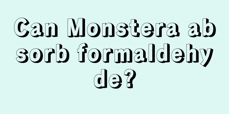 Can Monstera absorb formaldehyde?