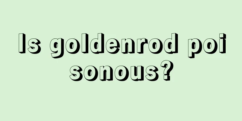 Is goldenrod poisonous?