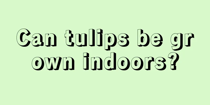 Can tulips be grown indoors?