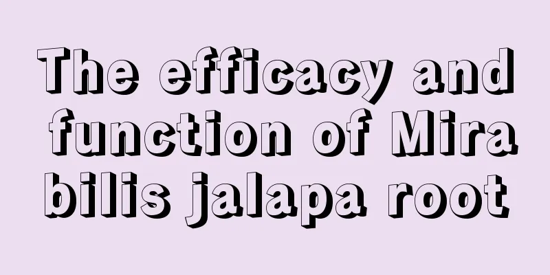 The efficacy and function of Mirabilis jalapa root