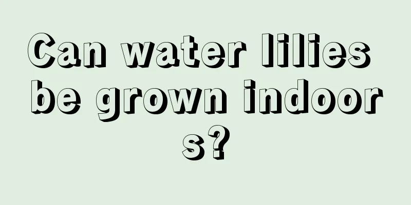 Can water lilies be grown indoors?