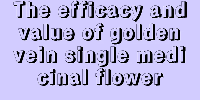 The efficacy and value of golden vein single medicinal flower