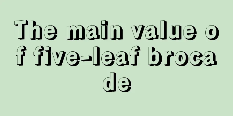 The main value of five-leaf brocade