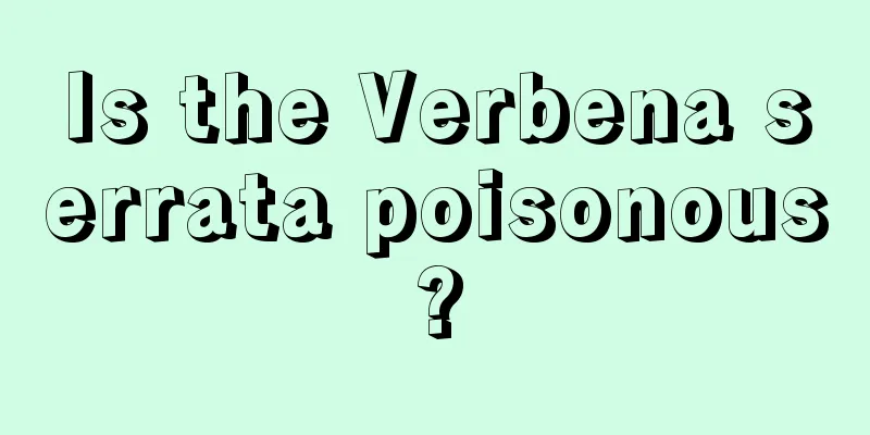 Is the Verbena serrata poisonous?