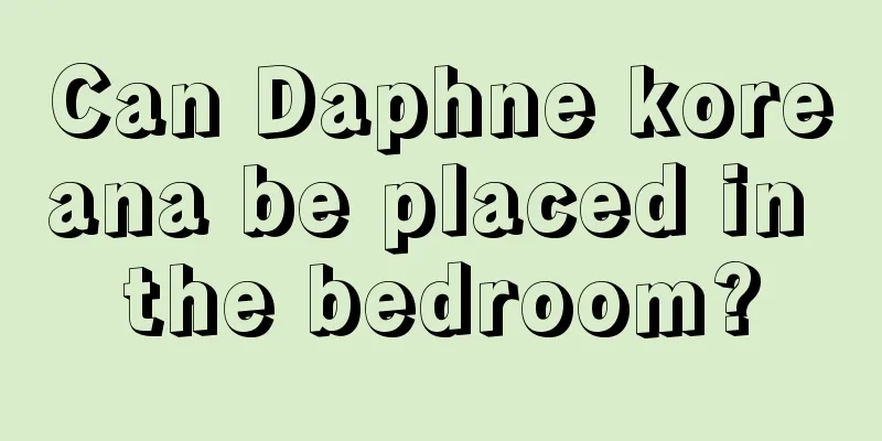 Can Daphne koreana be placed in the bedroom?