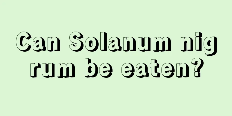 Can Solanum nigrum be eaten?