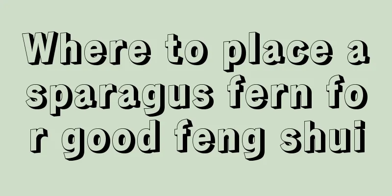 Where to place asparagus fern for good feng shui