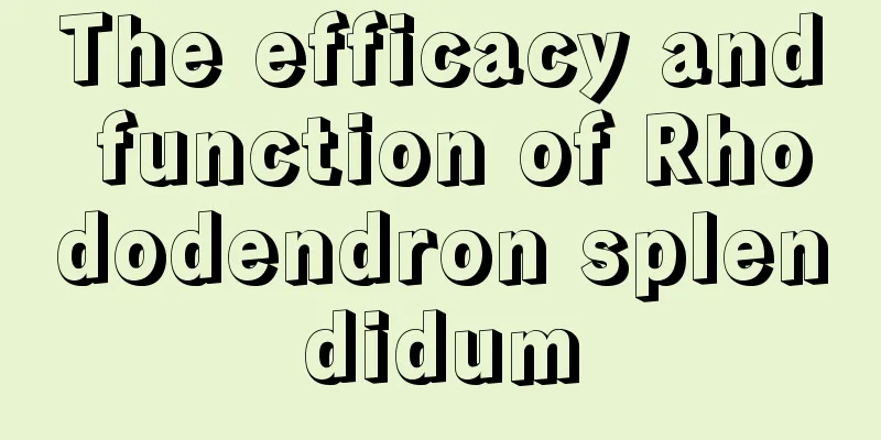 The efficacy and function of Rhododendron splendidum