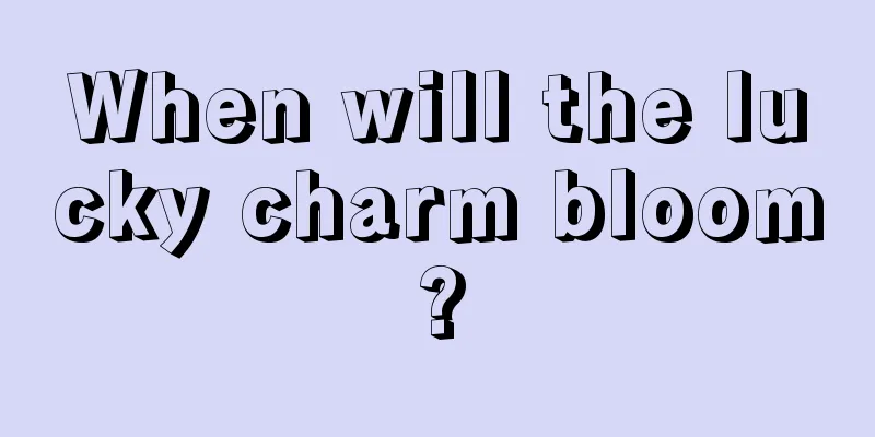 When will the lucky charm bloom?