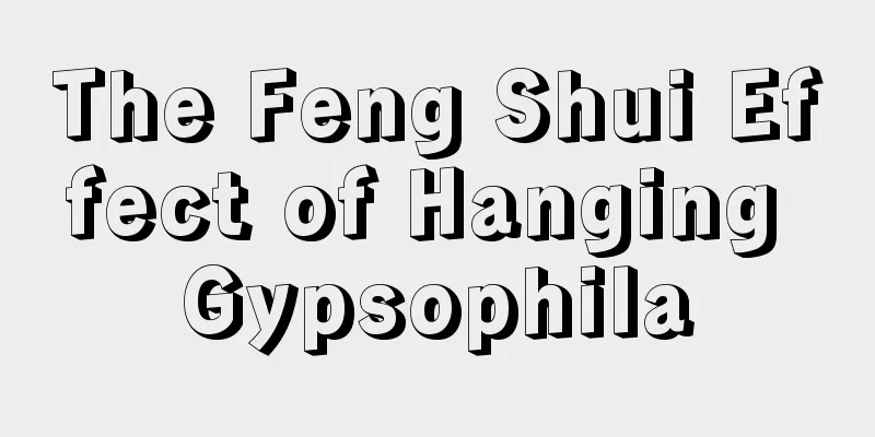 The Feng Shui Effect of Hanging Gypsophila