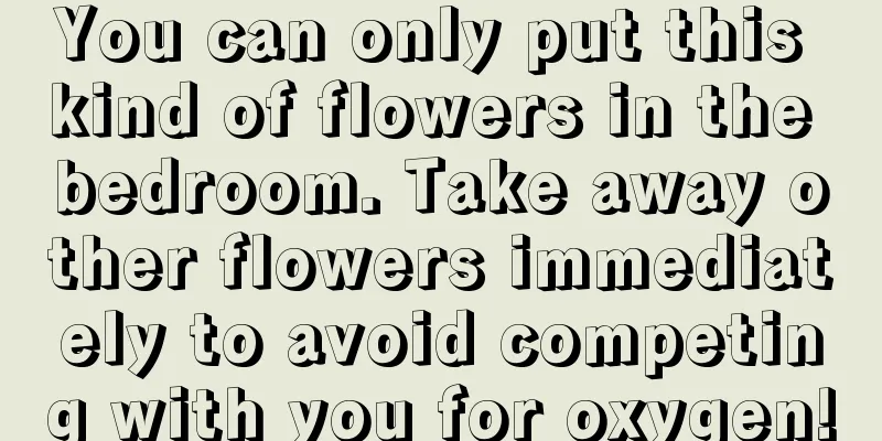 You can only put this kind of flowers in the bedroom. Take away other flowers immediately to avoid competing with you for oxygen!