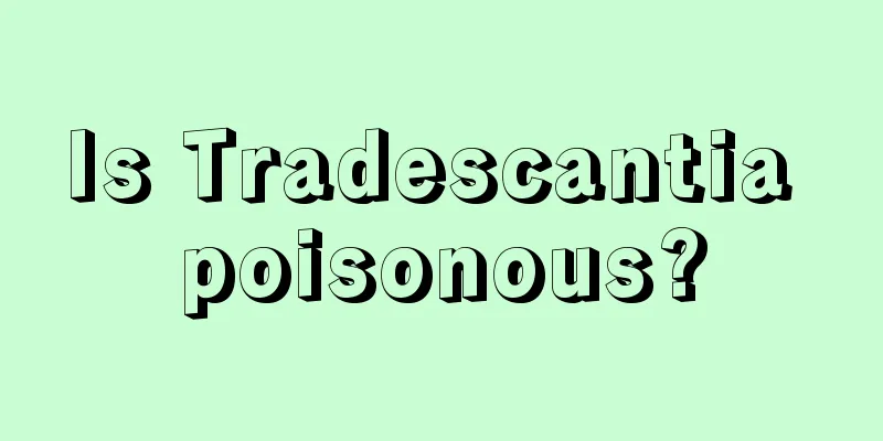 Is Tradescantia poisonous?