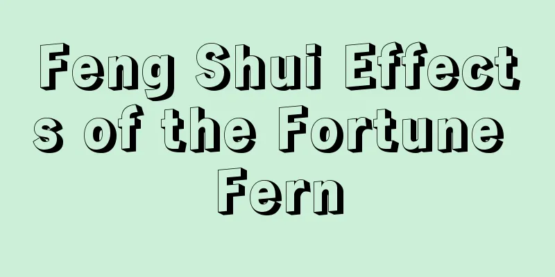 Feng Shui Effects of the Fortune Fern