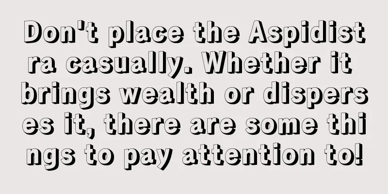 Don't place the Aspidistra casually. Whether it brings wealth or disperses it, there are some things to pay attention to!