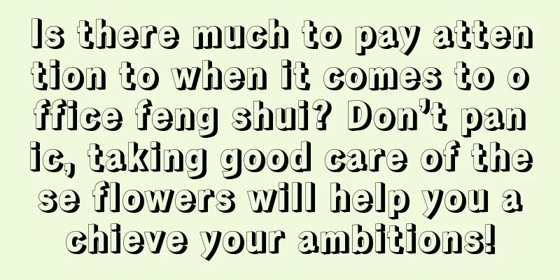Is there much to pay attention to when it comes to office feng shui? Don’t panic, taking good care of these flowers will help you achieve your ambitions!