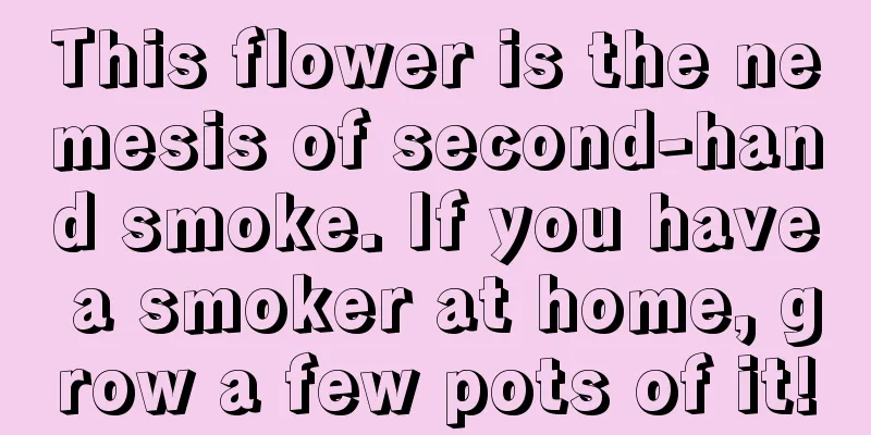 This flower is the nemesis of second-hand smoke. If you have a smoker at home, grow a few pots of it!