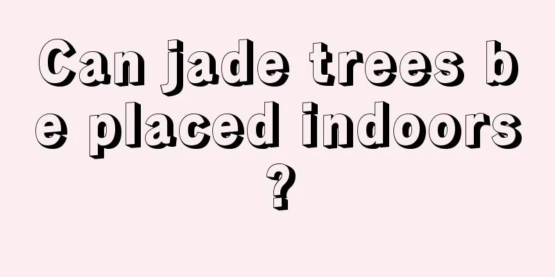 Can jade trees be placed indoors?