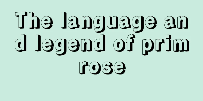 The language and legend of primrose