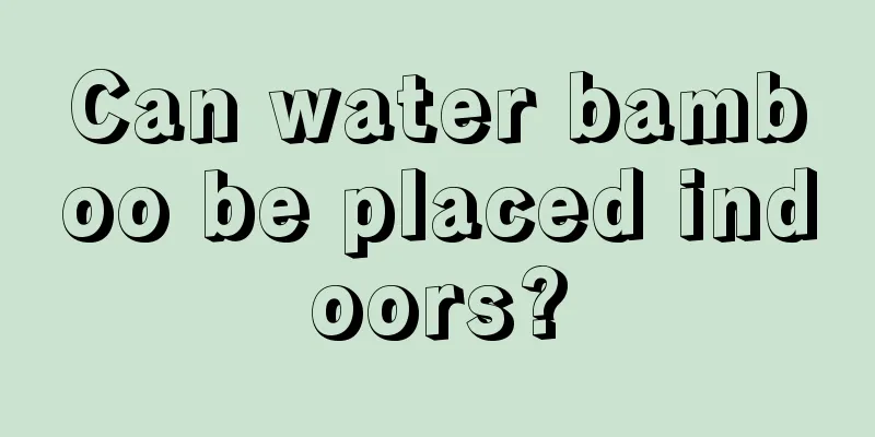 Can water bamboo be placed indoors?