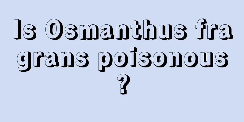 Is Osmanthus fragrans poisonous?