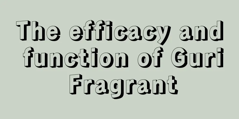 The efficacy and function of Guri Fragrant