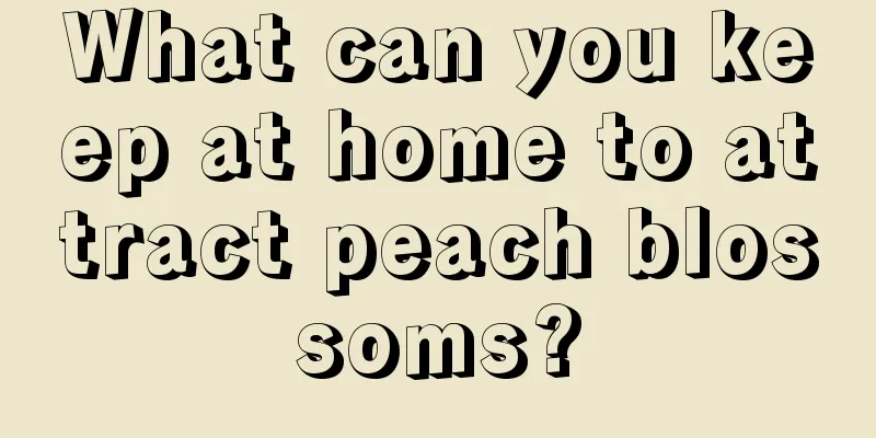 What can you keep at home to attract peach blossoms?