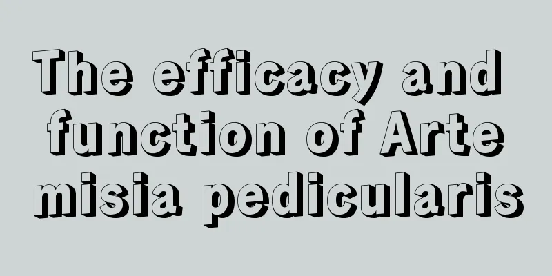 The efficacy and function of Artemisia pedicularis