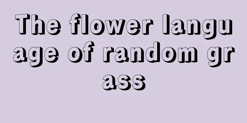 The flower language of random grass