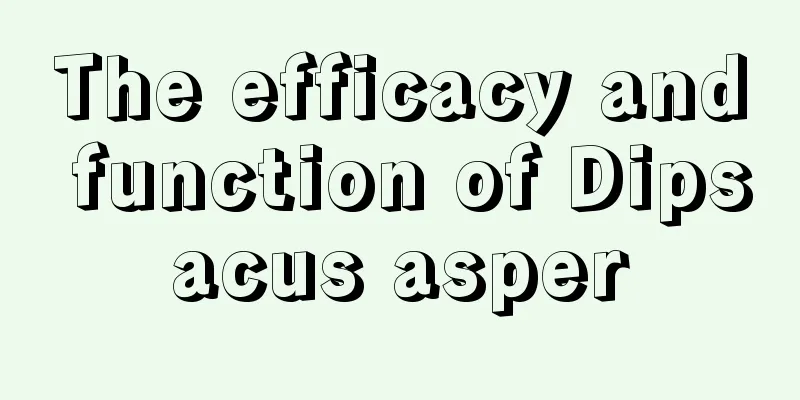 The efficacy and function of Dipsacus asper