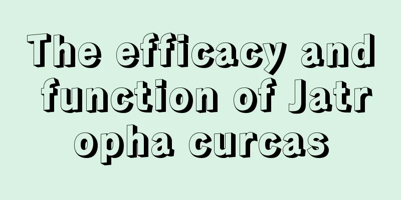 The efficacy and function of Jatropha curcas