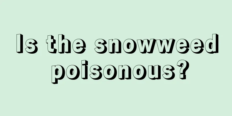 Is the snowweed poisonous?