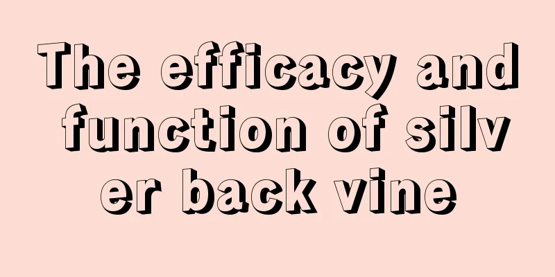 The efficacy and function of silver back vine