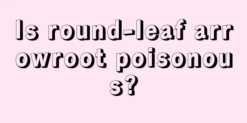 Is round-leaf arrowroot poisonous?